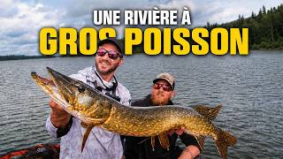 Notre guide nous emmène sur une rivière remplie de brochets !