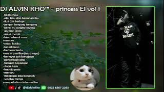 DJ ALVIN KHO™ - princess EJ vol 1