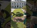 From Empty Lawn to Giant Fish Topiary 🐟🌿 Luxury Mansion Transformation