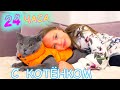 24 часа ЧЕЛЛЕНДЖ Ухаживаю за КОТЁНКОМ Мой ДЕНЬ с питомцем My little Nastya