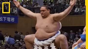 Sumo Wrestling 101 | National Geographic