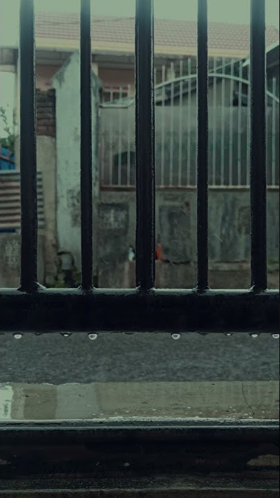 Rain #rain #shorts #shortsvideo #anime #sekainoowari #hujan #senja #japanese #manga #animeedit  #fyp