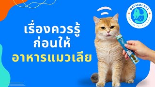 เรื่องสำคัญที่ควรรู้!!! ก่อนให้ขนมแมวเลีย | สัตวแพทย์ทีม Deemmi