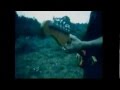 Sparklehorse - Maxine [Nice Evening (Transmission Down)] (Official Video)
