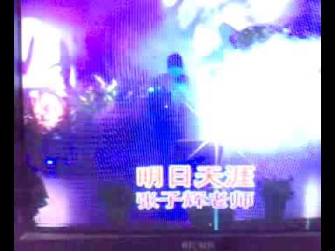 张子辉：明日天涯