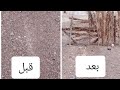 العزبه الجديدة 