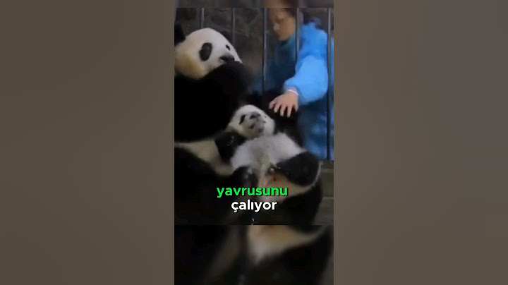 Bir Elmaya Yavrusunu Satan Panda! 🐼🤝🍎