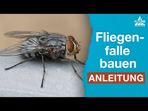 Video: So entfernen Sie flüssige Spülmittelseife aus Ihrer Spülmaschine