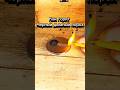 РУЖЕЙНЫЕ ПОРОХА СССР#hunting #shorts