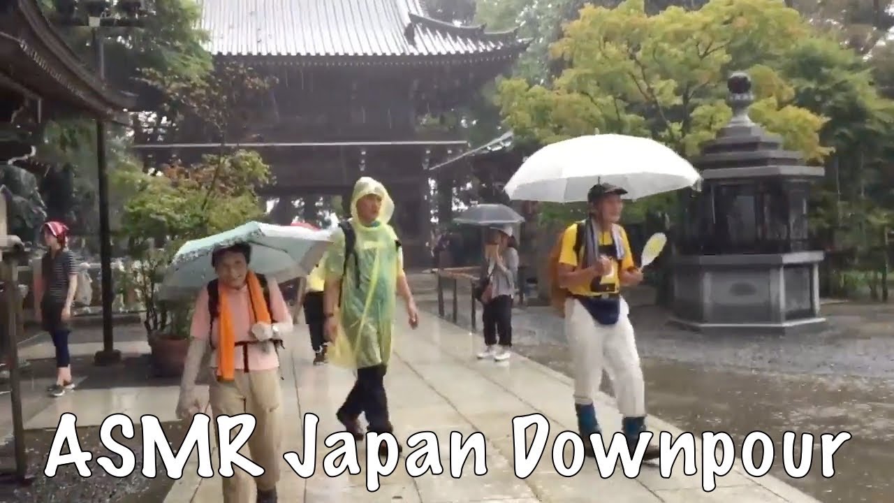 ASMR Japan Downpour Walk 2018.07.31 Mt. Takao Tokyo Mountain Hike Ambient Sound Sleep Meditate Relax