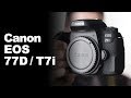 Canon t7i/77D: valem mais a pena que a 80D?
