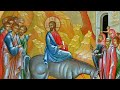 Божественная Литургия в праздник Входа Господня во Иерусалим ( продолжение)