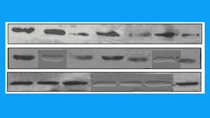 105658168EDB2F0199B5AEEC16C115#1