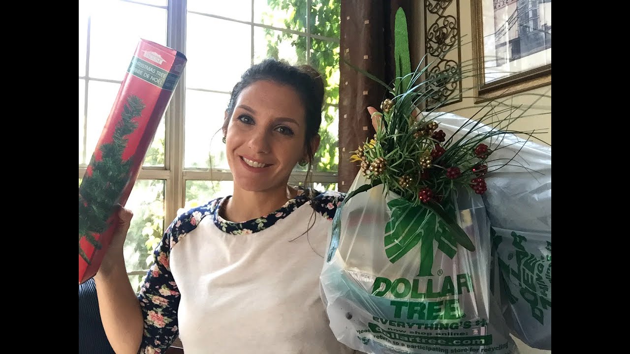 DOLLAR TREE HAUL | New Fall & Halloween Decor | 2016