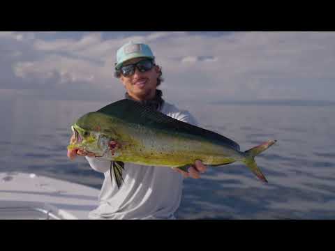 A Three-Day Fishing Adventure out of Marina Bahia Golfito