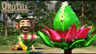 Oko Ve Lele 🦕 Bahçecilik Günü 🌳🌴 Tüm Bölümler Arka Arkaya ✨ Super Toons Tv Animasyon