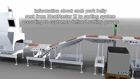 Automatic Sorting of Pork Bellies