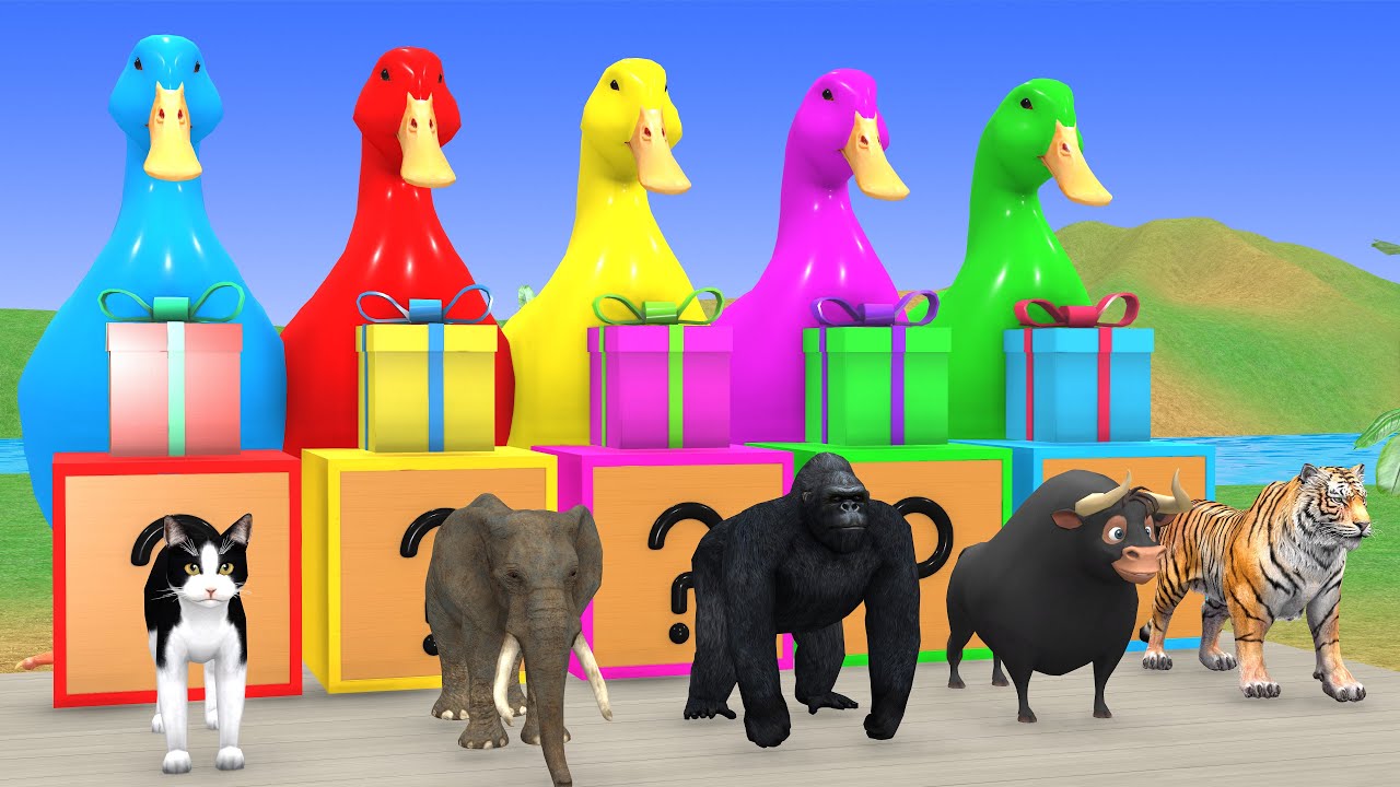 Long Slide Game With Cow Elephant Gorilla Hippopotamus Tiger 3d Animal Game Funny 3d Animals