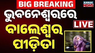 🔴Live | ଭୁବନେଶ୍ୱରରେ ପୀଡିତା Harassment by OPHWC Project Manager | Balasore Shocking Case |Odisha News