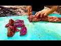 BACKSTRAPS over fire | ￼DEER HUNT catch cook