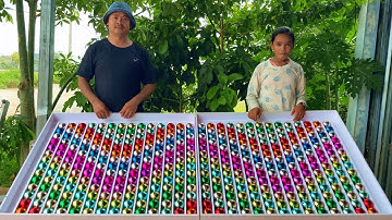 full-color ball sorting is very smart and smooth