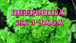 видео Сад и огород на страже зрения