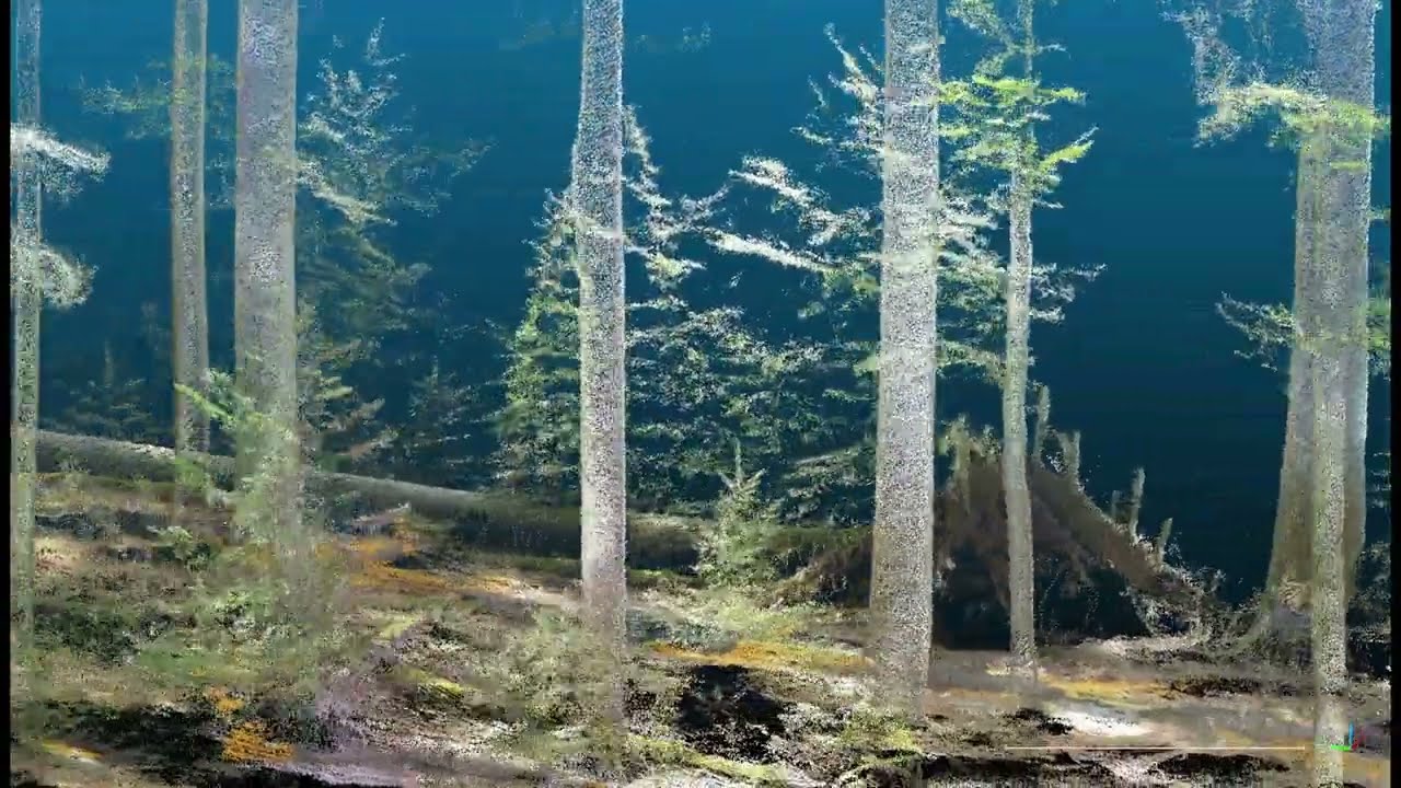 3D-Punktwolkenvideo zum fernerkundungsgestützten Waldökosystemmonitoring