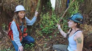 Forestry and Natural Resources at CR