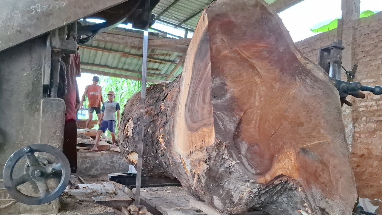surprised by the unexpected sawing results of trembesi wood - YouTube