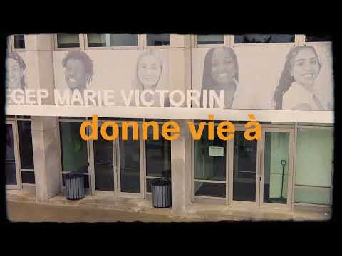 ALC - Séries télé