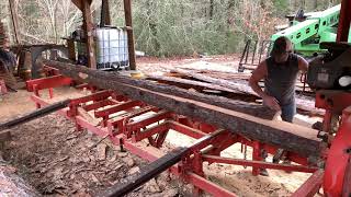 How to Save Money with a Sawmill! $100 in 8 minutes cutting 2”x8”x16’ boards!
