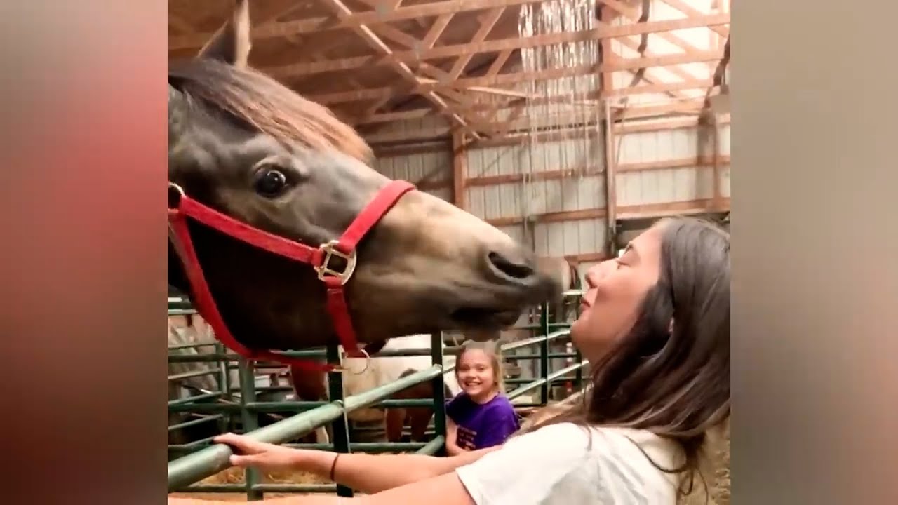 【海外おもしろ動画】忘れられないくらい面白い失敗100選 part2