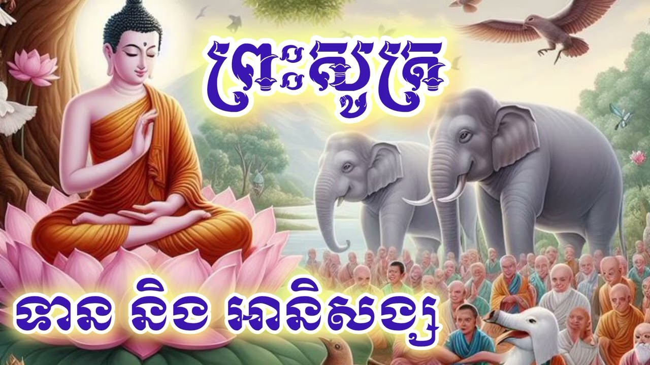 តើព្រះសូត្រណាខ្លះពោលពីគុណរបស់បុគ្គលធ្វើទាន? /អប់រំចិត្ត-ចំណេះដឹង-បញ្ញា/ដោយភិ.បភទ្ទោ @chhayaneak1769 