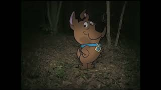 The Scooby Doo Project (1999) Part 3