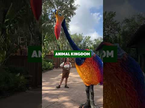 View Aaa Disney World Tickets 2024 Catalog - th5a4x7