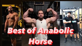 Best of Anabolic Horse (Jan Krasinský)   @AnabolicHorse