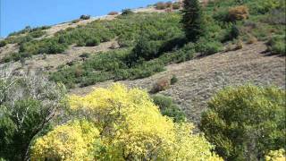 Fall Color Run - Monti Cristo Utah - (Slideshow) - 9-26-2011