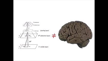 Deep Learning, Sparse Coding, and the Brain - William Edward Hahn