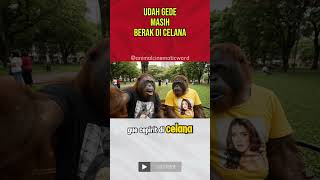 Orang Utan Vlog Lucu ⁉️😂 #shortvideo #aivideo #orangutan #funny