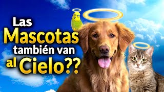 ¿Las Mascotas van al Cielo? | Podcast Salve María  Episodio 116