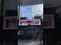何が出て来ると思ったら…🐆