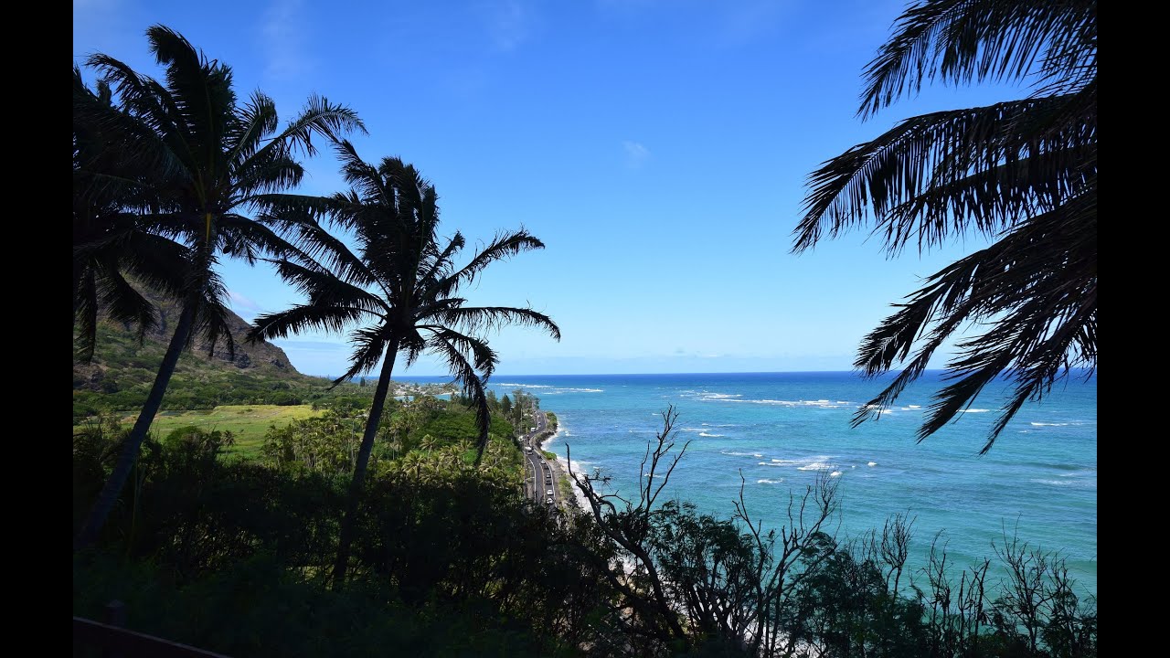 Norwegian Cruise Line Hawaii Land & Sea: Oahu