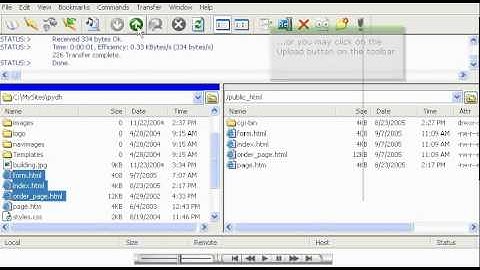 Transferring files in Cute FTP