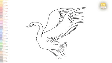 Swan flying drawing | How to draw flying swan step by step | swan drawing | drawing tutorials| #art