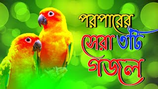 খুবই দুঃখের পরপারের সেরা মায়াবী কন্ঠের মন প্রাণ জুড়ানো গজল|new islamic best song,new islamic gojol