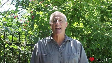 What is Aortic Pulse Wave Velocity, and why does it matter?