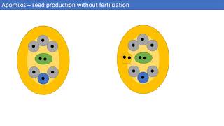 Types Of Asexual Reproduction