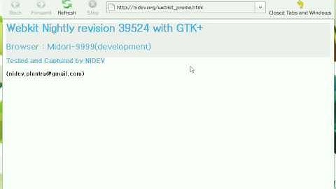 Webkit(GTK+) revision 39524 passed Acid3 Test!