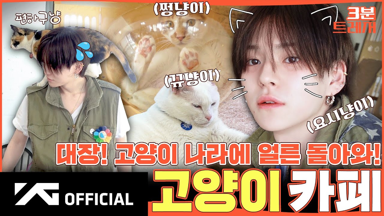 TREASURE - 3분 트레저 🤴 대장! 고양이 나라에 얼른 돌아와! 😺 고양이 카페