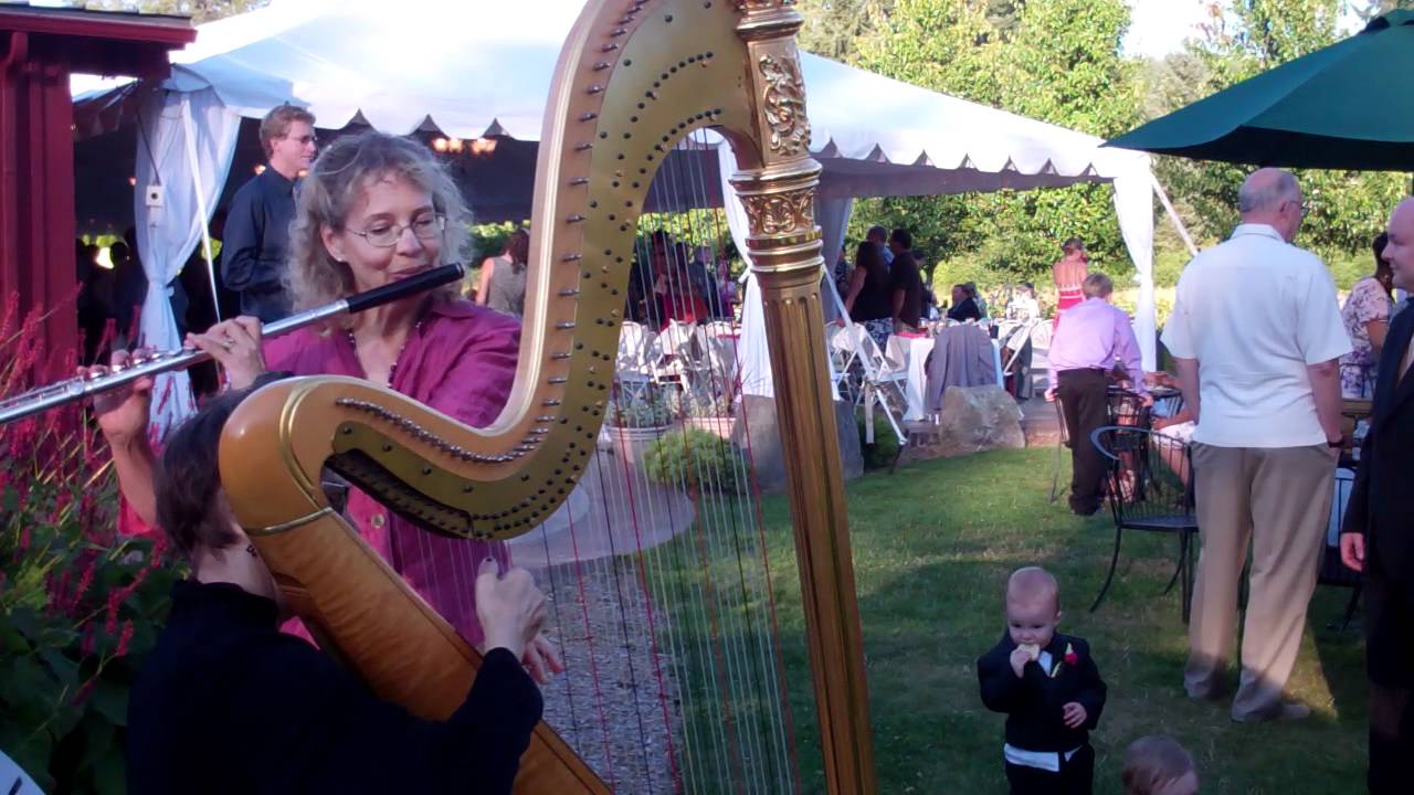 Greensleeves Flute and Harp at Suzanne and Mathews ReceptionAug. 20
